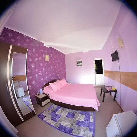 Vila Alexandru-2