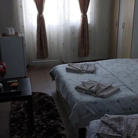 Vila Alexandru-3